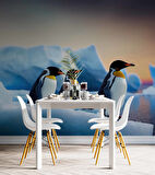 Kutuplar ve Penguen Manzaralı Duvar Kağıdı