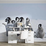 Kutuplar ve Yavru Penguen Manzaralı Duvar Kağıdı