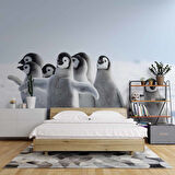 Kutuplar ve Yavru Penguen Manzaralı Duvar Kağıdı