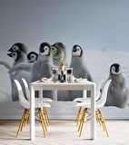 Kutuplar ve Yavru Penguen Manzaralı Duvar Kağıdı