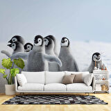 Kutuplar ve Yavru Penguen Manzaralı Duvar Kağıdı