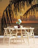 Gün Batımı ve Palmiye Dal Manzaralı Duvar Kağıdı