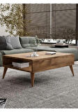 Orta Sehpa Masa Salon Sehpası Lüx Model 90x50x33