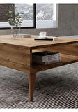 Orta Sehpa Masa Salon Sehpası Lüx Model 90x50x33