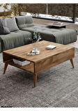 Orta Sehpa Masa Salon Sehpası Lüx Model 90x50x33