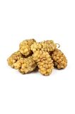%100 Malatya Organik Güneşte Kurutulmuş Sarı Çekirdeksiz (1 KG)