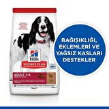 Hill's Adult Medium Lamb Rice Kuzu Etli ve Pirinçli Yetişkin Köpek Maması 14 Kg
