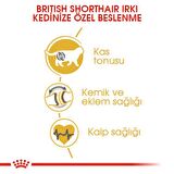 Royal Canin British Short Hair Kedi Maması 2 Kg