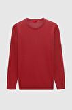 Ds Damat Regular Fit Nar Çiçeği Pamuk Karışımlı Triko Kazak 5HF06ORT12004 5HF06ORT12004