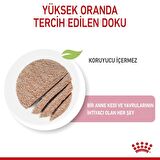 Royal Canin Mother&BabyCat Gebe/Laktasyondaki Anne ve Yavru Kedi için Kedi Konservesi 195g