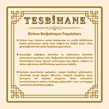 Tesbihane Multi Renk Zirkon Taşlı Hilal Tasarım 925 Ayar Gümüş Kadın Kolye