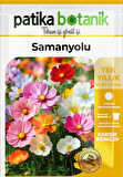30 Adet Samanyolu (Cosmos L.) Çiçek Tohumu 