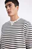DeFacto Modern Fit Bisiklet Yaka Çizgili Sweatshirt B6498AX24SPWT32
