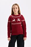 Kız Çocuk Regular Fit Bisiklet Yaka Kazak