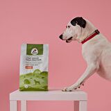 3 adet 2,5 kg yetişkin köpek maması
