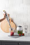 Homend Handmaid 1960H Blender Set Krem Gold