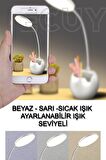Şarjlı Dokunmatik Çalışma Masa Lambası Kalemlik & Standlı 3 Farklı Işık Tonlu Masa Lambası