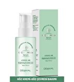 Dermal Cica x Mide Serum Centella Asiatica ve Seramid Özlü Serum 50 ml