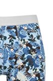 DeFacto Regular Fit Hayvan Baskılı 3'lü Boxer C9537AX24WNNV135