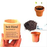 Özel Tasarım Best Friend Temalı Hediyelik Papatya Ekim Seti