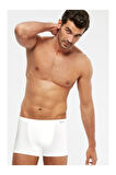 Erkek Davide Boxer