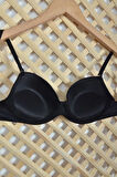 Kadın Siyah Micro Kaplı Kulaksız Dolgulu Destekli Sütyen 7050