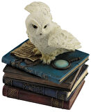 BAYKUS KUTU 10*9*12 CM Dekoratif Hediyelik Ev Ofis Aksesuarı 