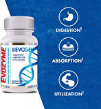Evogen Evozyme Digestive Enzymes Enzymes Digestion Absorption Nutrient Utilization Support 60 Caps