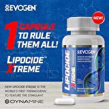 Evogen Lipocide Xtreme Fat Burner Yohimbine 60 Kapsül