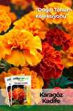 50 Adet Karagöz (Tagetes L.) Çiçek Tohumu 
