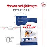 Royal Canin Büyük Irklar için Yetişkin Kuru Köpek Maması 15 Kg