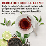 Lipton Earl Grey Demlik Poşet Çay 100lü