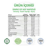 Sinirliot Kdt Kapsül (PLANTAGO HVH CAPSULE)60 Adet