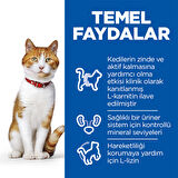 Hill's Sterilised Somonlu Kısırlaştırılmış Kedi Maması 3 kg