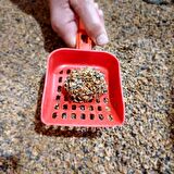 Ceviz Kabuğundan Yapılmış Doğal Kedi Kumu; Aktif Karbonlu, %100 Organik