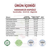 Hamamelis Kapsül (WİTCH HAZEL CAPSULE)