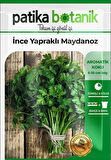 2500 Adet İnce Yapraklı Maydanoz