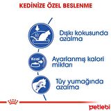 Royal Canin Indoor 27 Evde Yaşayan Kedilere Özel Mama 400 Gr
