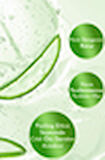 E'LOVERS DOĞAL KABAK LİFLİ ALOEVERA ÖZLÜ, AYDINLATICI, NEMLENDİRİCİ EL YAPIMI SABUN 125 GR