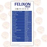 Negans Felixon Man