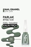 Flormar Klasik Parlak Bitişli Yüksek Pigmentli Oje - Nail Enamel -543 Spa Day- 8682536052993