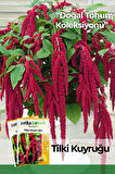 100 Adet Tilki Kuyruğu (Amaranthus Caudatus) Çiçek Tohumu 