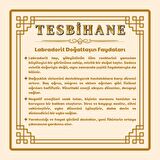 Makrome Örgülü Naturel Kesim Dorika Top Detaylı Labradorit Doğaltaş Erkek Bileklik