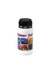 Denizer  Flower Full Çiçek Açan Süs Bitkisi Besini