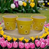 Porsellena Dekoratif Mini Seramik Skulent Saksı 3 Parça 7cm - Sarı