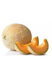Iri Bal Ananas Kavunu Tohumu Kavun Tohumu 15 Adet Tohum