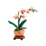 10343 iconic Botanicals Mini Orkide 274 parça +18 yaş