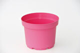 Pembe Saksı 5 Adet