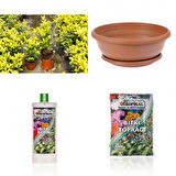 Bonsai Taflan Seti Toprak- Bonsai Saksı-Bitki Besini-Fidan