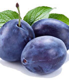 Stanley Birton Erik Fidanı - Tüplü ve Aşılı 3 Adet